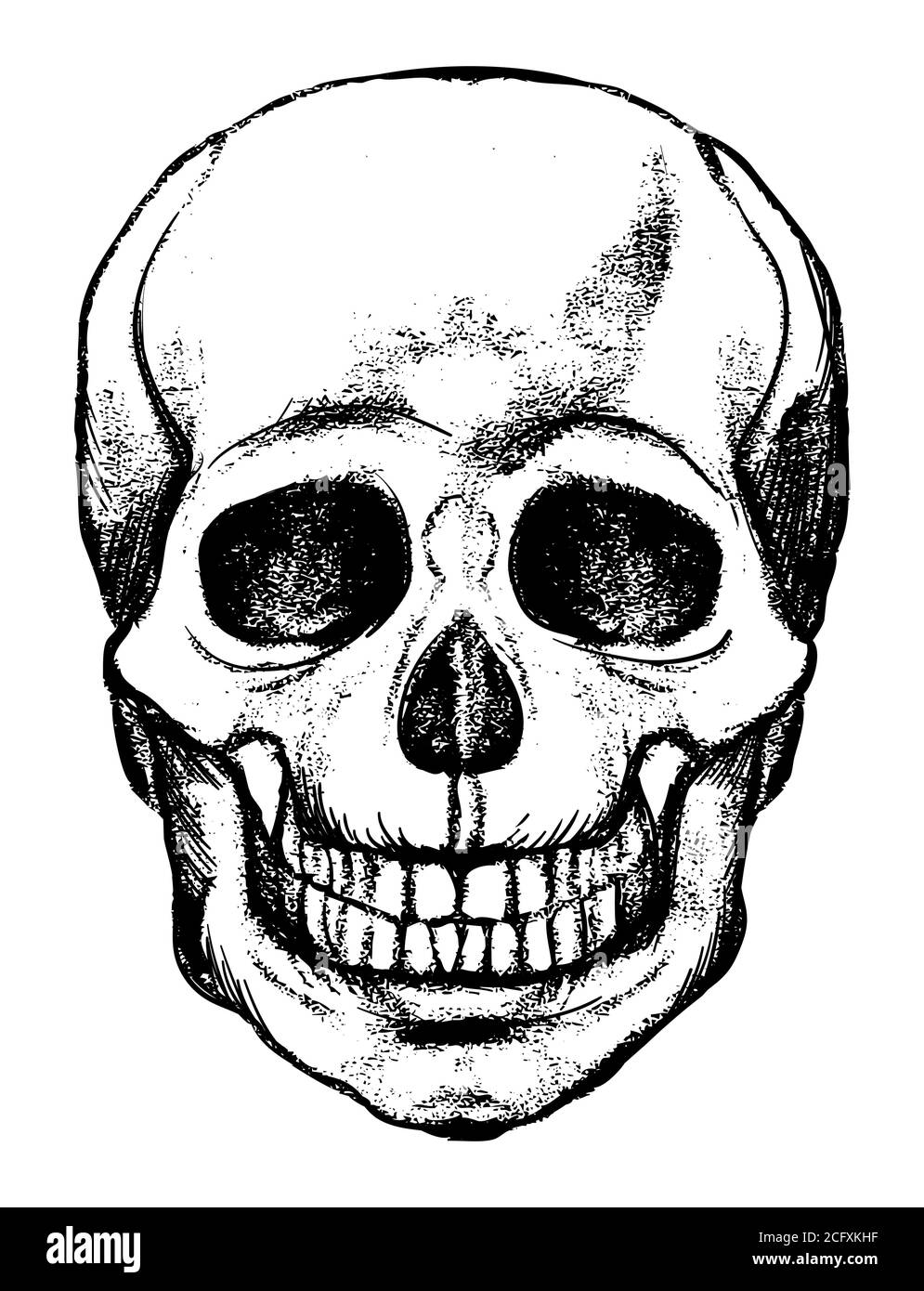 Crâne humain, squelette tête anatomie encre gravure main gravure gravure gravure art stock vecteur vintage illustration Illustration de Vecteur