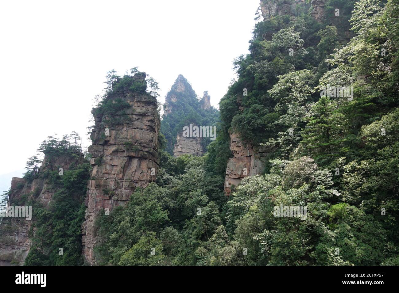 Parc forestier national de Zhangjiajie, zone panoramique de Wulinguan Banque D'Images