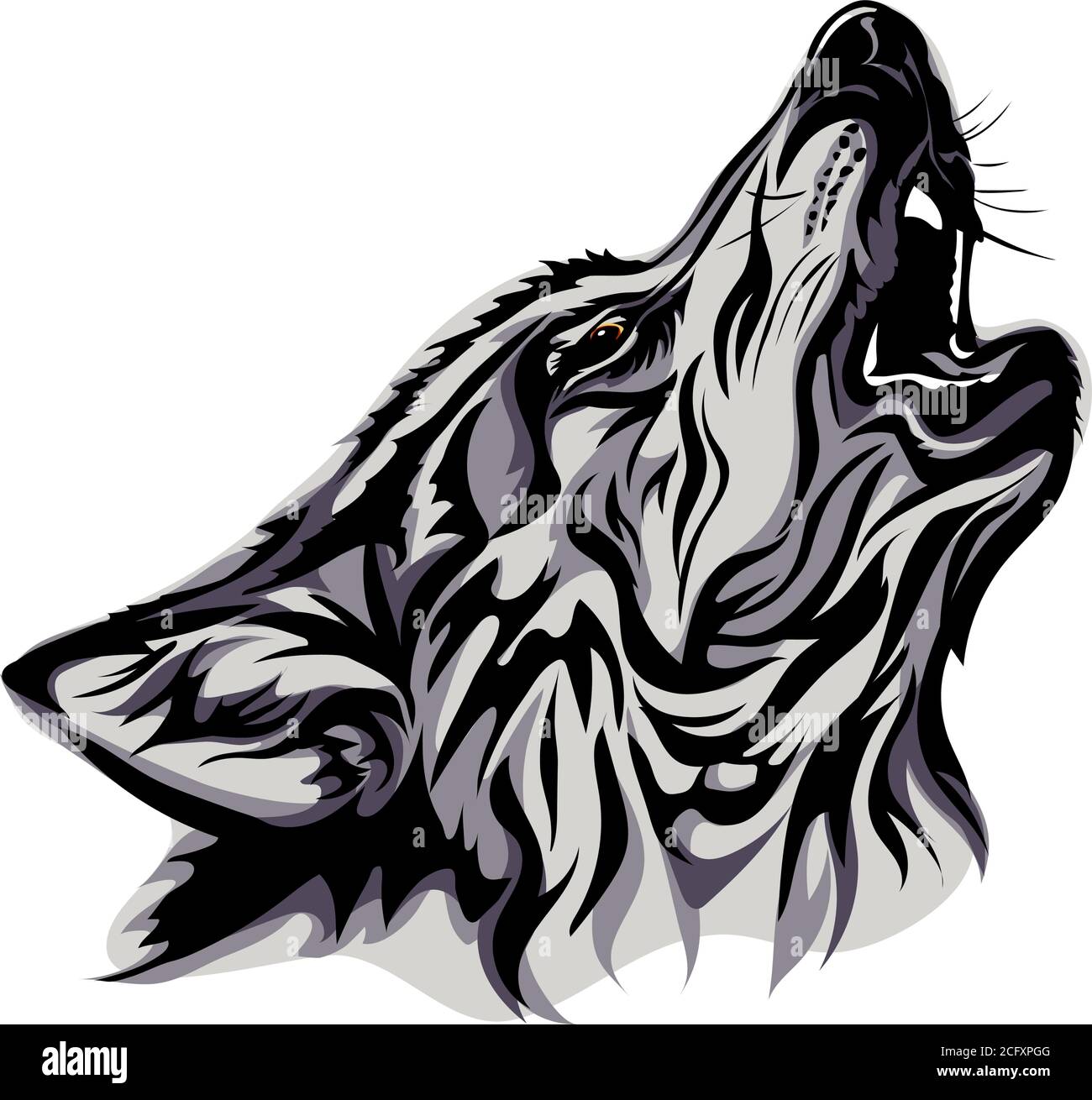 Wolf, portrait, blanc, noir, couleur, vecteur, graphiques, dessin, image, stylisation, image, isolé, illustration, dessin, image Illustration de Vecteur