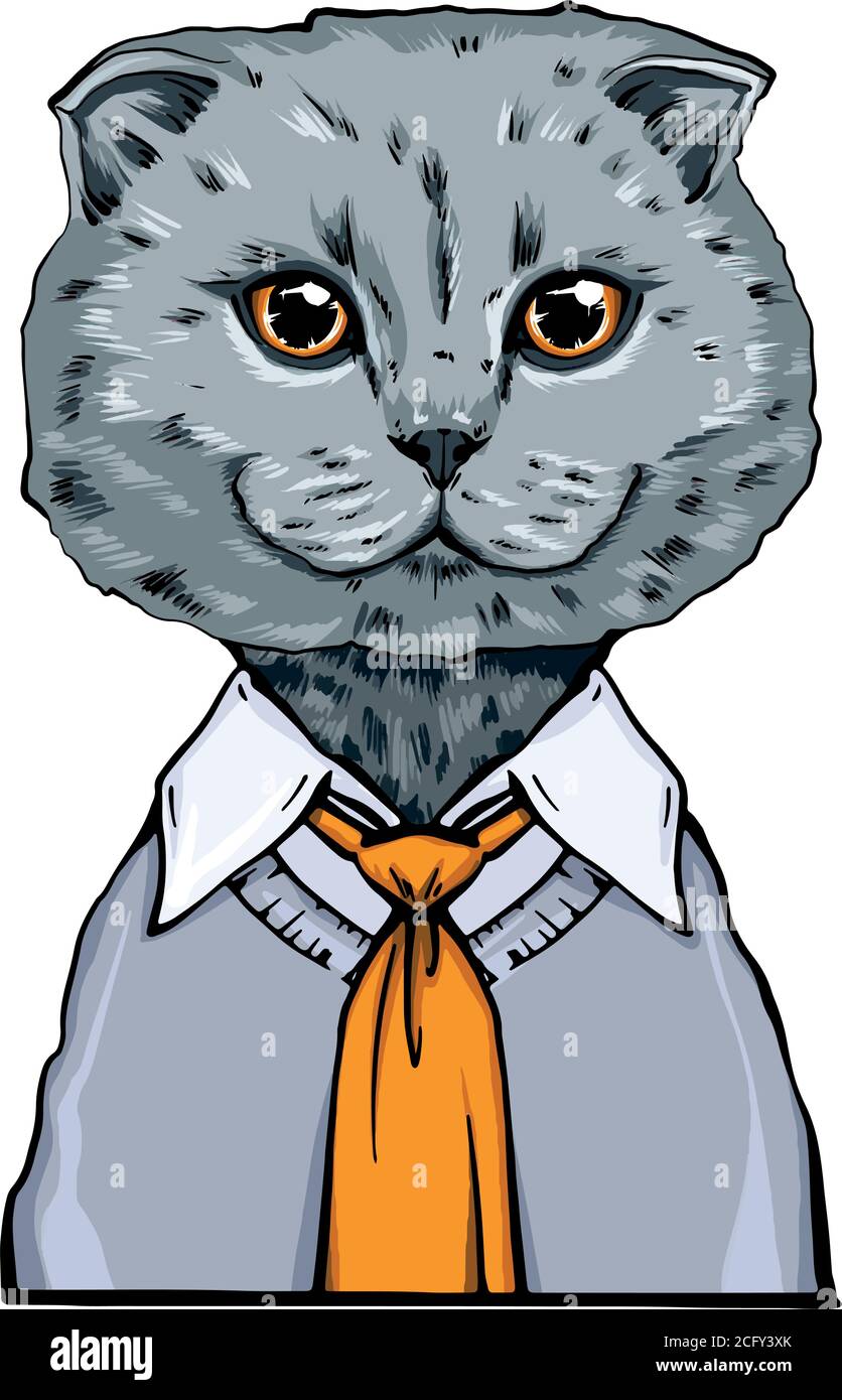 portrait de l'animal dans une chemise et une veste. portrait de l'animal de  bureau dans une chemise avec cravate. chat avec une cravate jaune tendance  assortie à la couleur des yeux de
