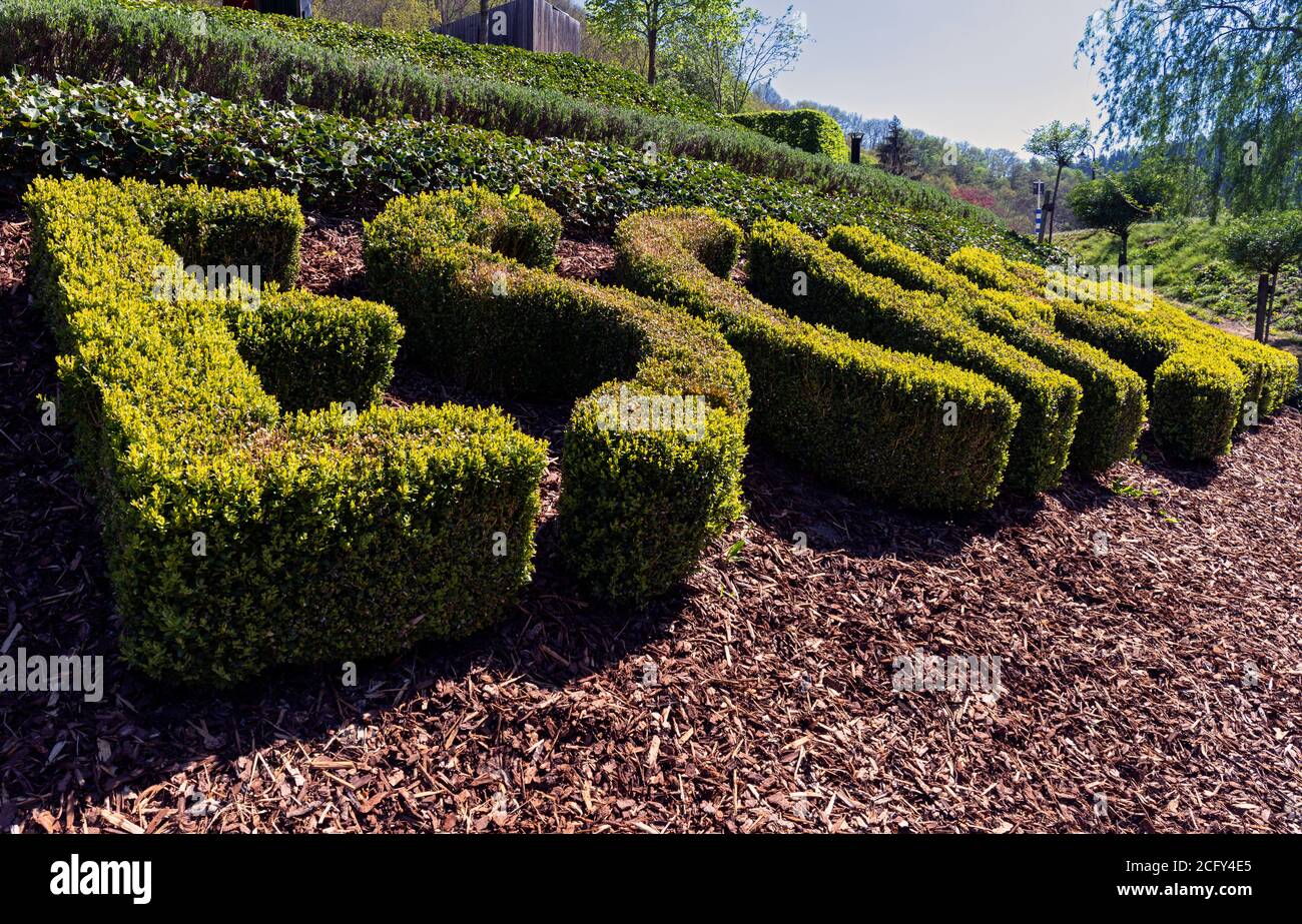 Europe, Luxembourg, Diekirch, Esch-sur-Sûre, « Esch-Sauer » lettres faites de haies clippées Banque D'Images