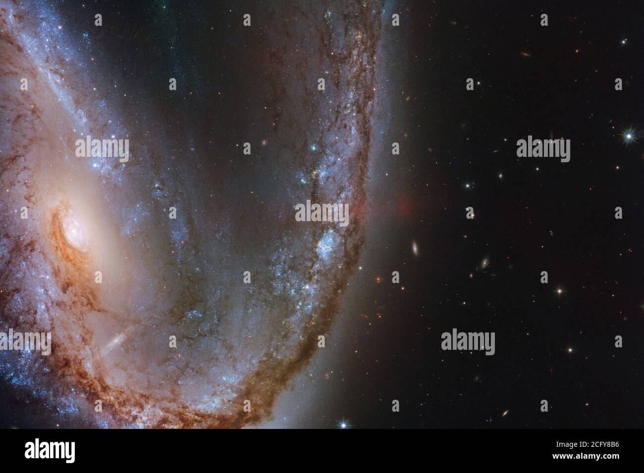 Cette image du télescope spatial Hubble NASA/ESA présente la spectaculaire galaxie NGC 2442, surnommée la galaxie Meathook en raison de sa forme extraordinairement asymétrique et irrégulière. Cette galaxie a été l'hôte d'une explosion de supernova repérée en mars 2015, connue sous le nom de SN 2015F, créée par une étoile naine blanche. La naine blanche faisait partie d'un système binaire d'étoiles et siphonne la masse de son compagnon, devenant finalement trop gourmande et prenant sur plus qu'elle ne pourrait gérer. Ce déséquilibre de l'étoile et déclenché une fusion nucléaire galopante qui a finalement conduit à une explosion de supernova intensément violente. NASA/ESA Banque D'Images