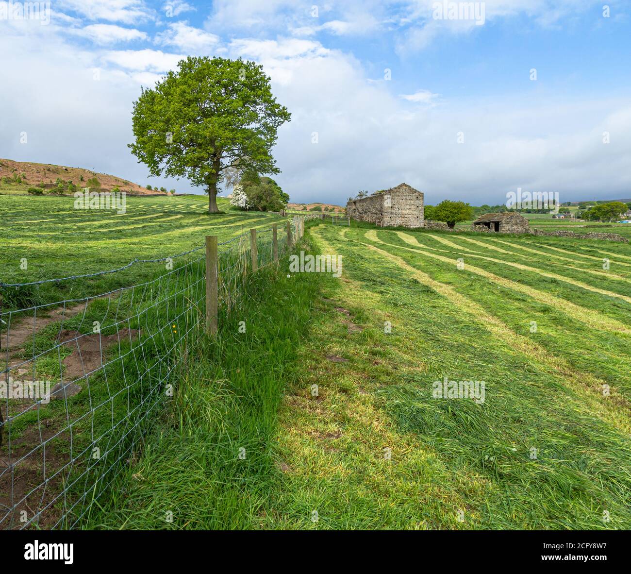 Une ancienne grange à Baildon, dans le Yorkshire. L'herbe dans les champs environnants a été coupée et laissée sécher en bandes. Banque D'Images