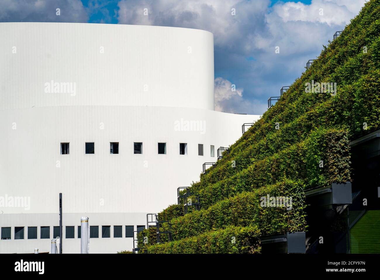 La plus grande façade verte d'Europe, sur le site de la rue commerçante et de l'immeuble de bureaux, sur la place Gustav-Gründgens-Platz, se trouvent 8 kilomètres de haies de charme Banque D'Images