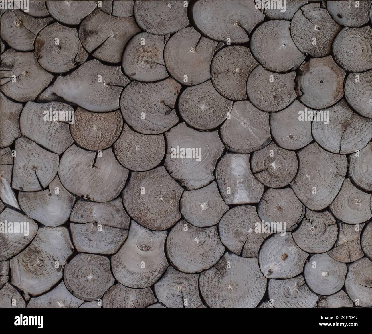 Souche de bois ronde. Pile de bois. Pour un arrière-plan ou du texte. Banque D'Images