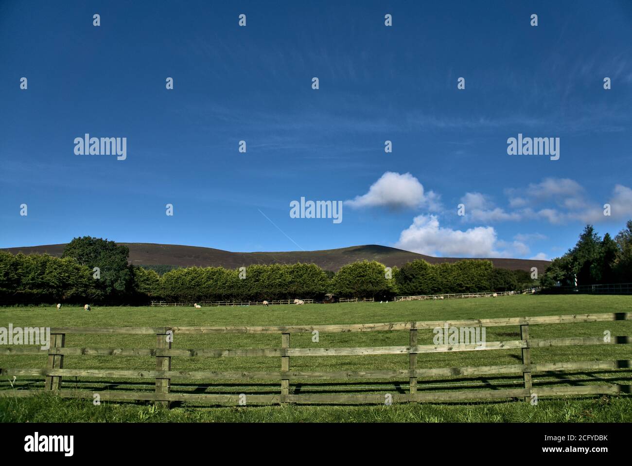 Ferme irlandaise paisible capturée contre les montagnes de Wicklow et ciel bleu clair, comté de Wicklow, Irlande Banque D'Images