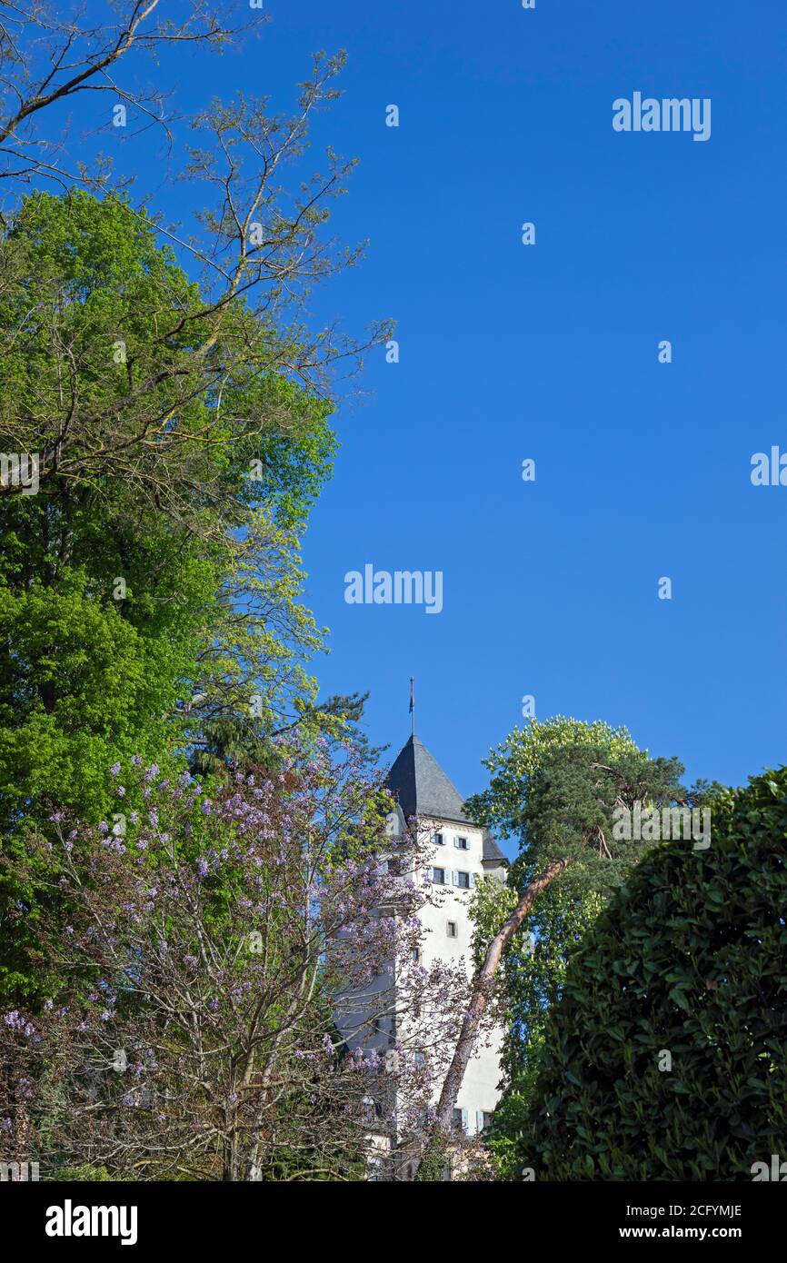 L'Europe, le Luxembourg, Colmar-Berg, le château de Berg (résidence principale du Grand-Duc de Luxembourg) entouré de magnifiques jardins Banque D'Images