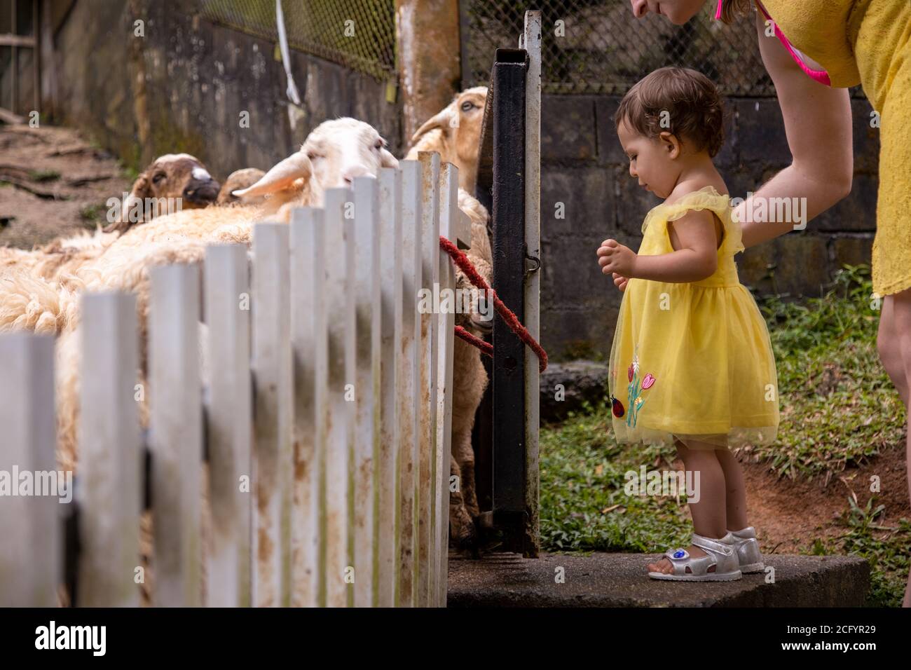 Adorable petite fille adorable avec une mère qui allaite de petits moutons dans une ferme pour enfants. Belle petite enfant animaux de compagnie dans le zoo. Une fille heureuse et excitée Banque D'Images