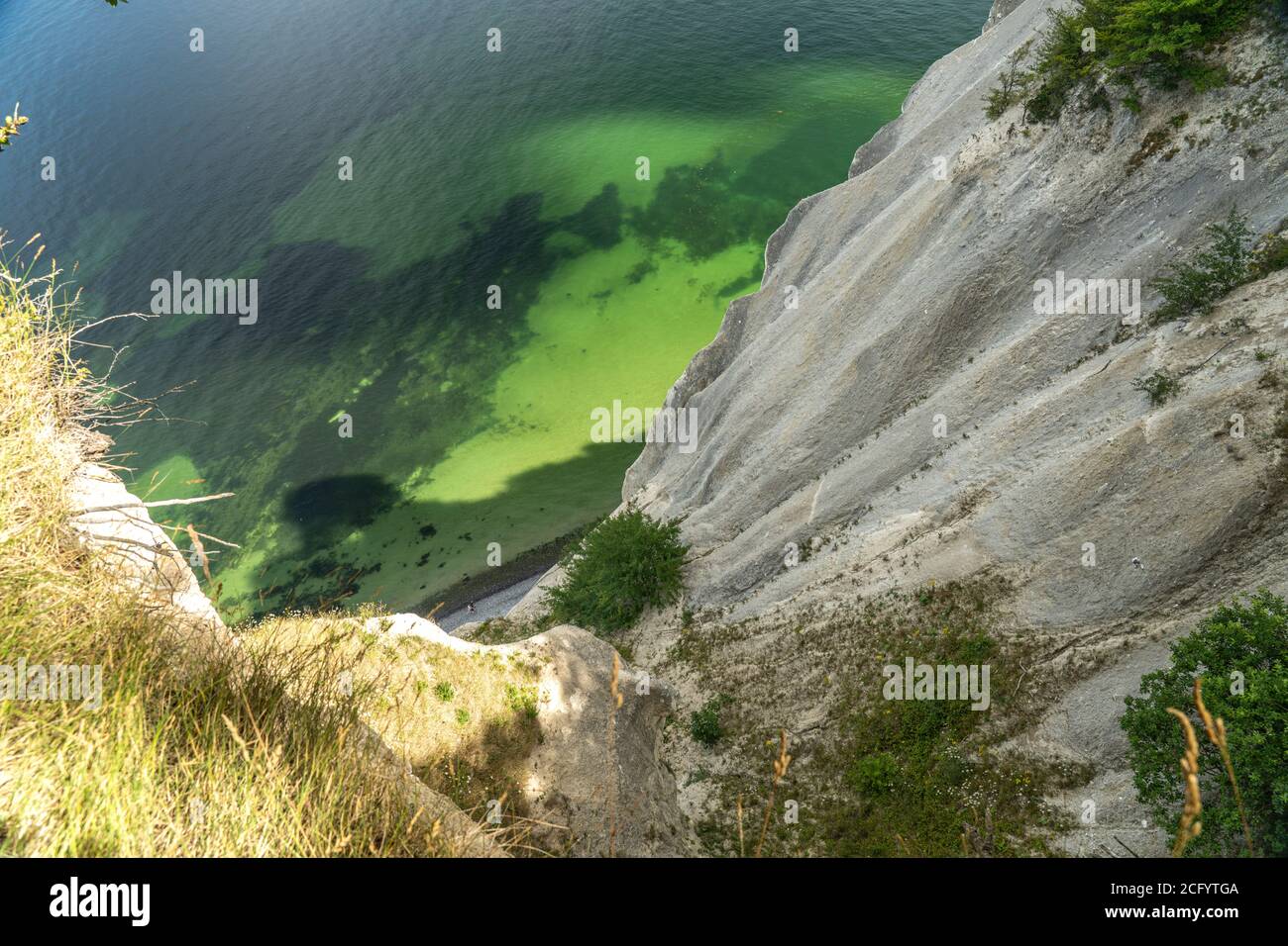 Steilküste und Kreidefelsen Møns Klint, Insel Mön, Dänemark, Europa | falaises escarpées de craie Moens Klint, île de Moen, Danemark, Europe Banque D'Images