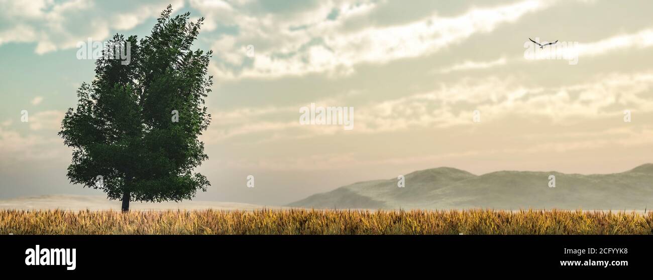 arbre et champ, cocept nature, illustration 3d Banque D'Images