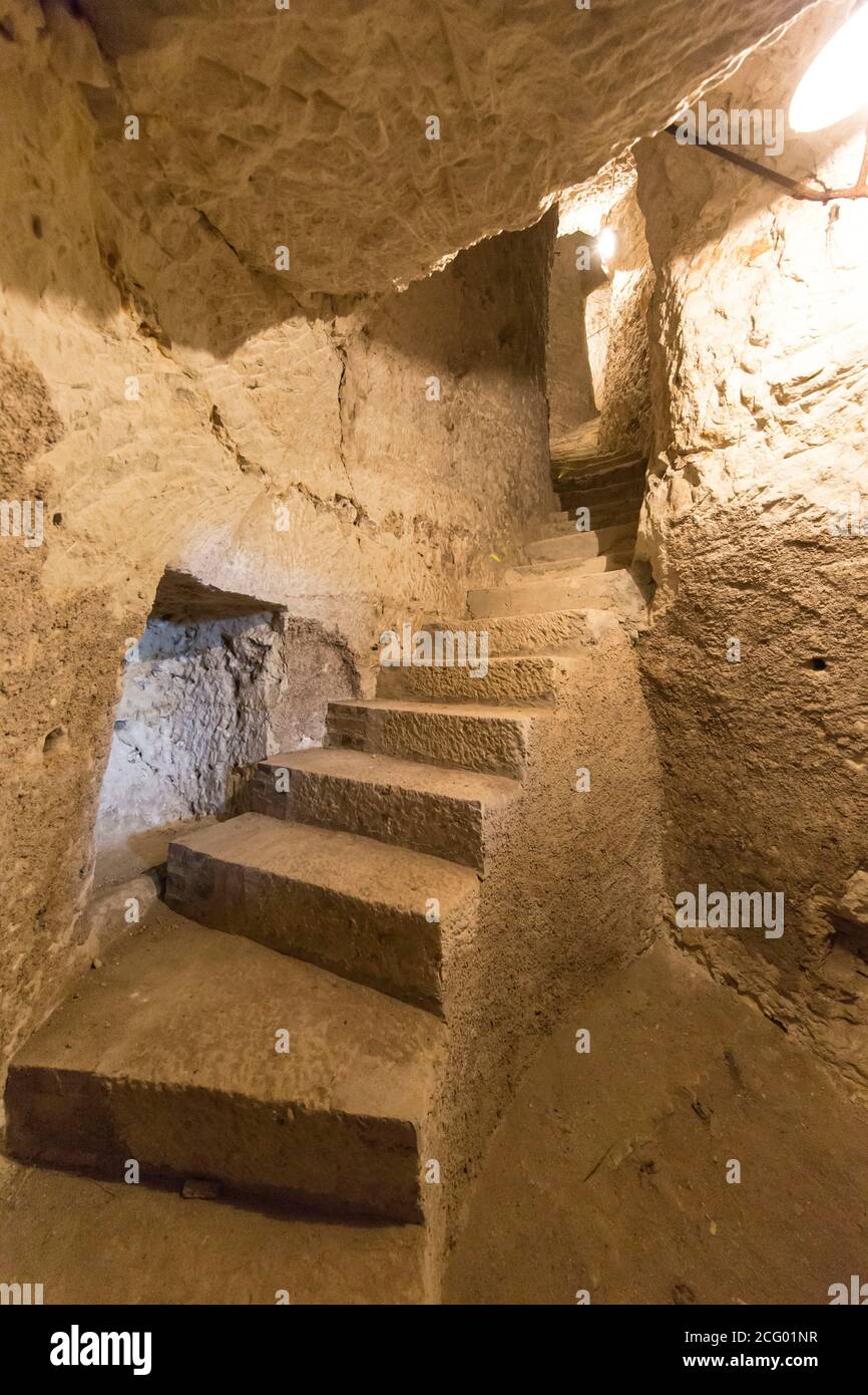 France, Indre et Loire, vallée de la Loire classée au patrimoine mondial par l'UNESCO, Vernou-sur-Brenne, les Madères, propriété de la famille Debré depuis 3 générations, Banque D'Images