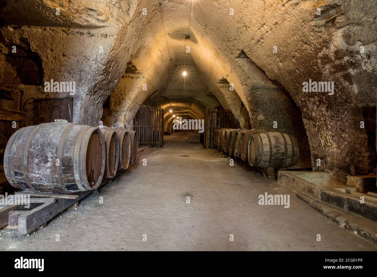 France, Indre et Loire, vallée de la Loire classée au patrimoine mondial par l'UNESCO, Vernou-sur-Brenne, les Madères, propriété de la famille Debré depuis 3 générations, Banque D'Images