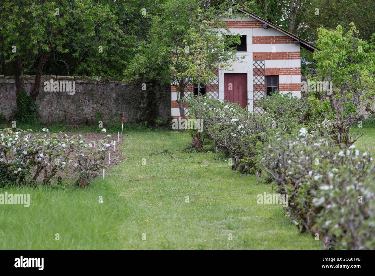 France, Indre et Loire, vallée de la Loire classée au patrimoine mondial par l'UNESCO, Vernou-sur-Brenne, les Madères, propriété de la famille Debré depuis 3 générations, Banque D'Images