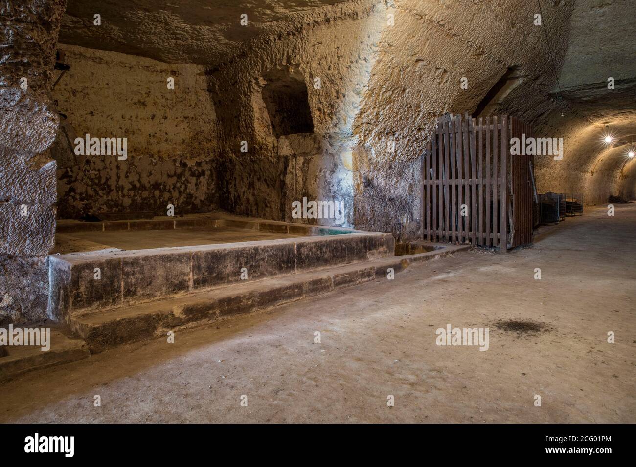 France, Indre et Loire, vallée de la Loire classée au patrimoine mondial par l'UNESCO, Vernou-sur-Brenne, les Madères, propriété de la famille Debré depuis 3 générations, Banque D'Images