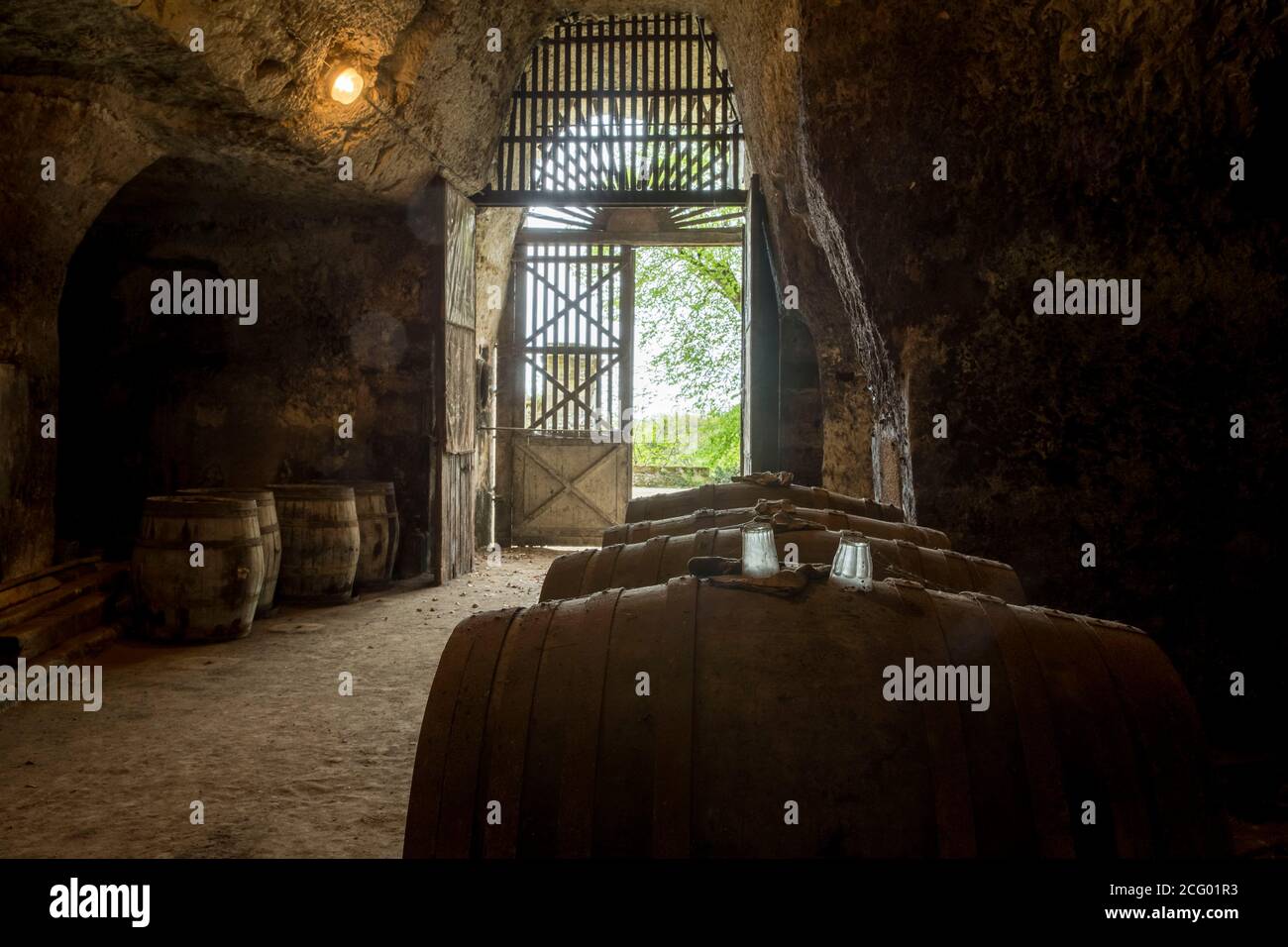 France, Indre et Loire, vallée de la Loire classée au patrimoine mondial par l'UNESCO, Vernou-sur-Brenne, les Madères, propriété de la famille Debré depuis 3 générations, Banque D'Images