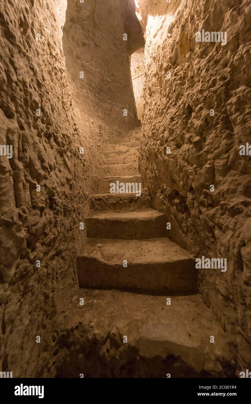 France, Indre et Loire, vallée de la Loire classée au patrimoine mondial par l'UNESCO, Vernou-sur-Brenne, les Madères, propriété de la famille Debré depuis 3 générations, Banque D'Images