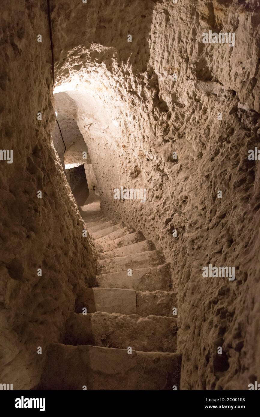 France, Indre et Loire, vallée de la Loire classée au patrimoine mondial par l'UNESCO, Vernou-sur-Brenne, les Madères, propriété de la famille Debré depuis 3 générations, Banque D'Images