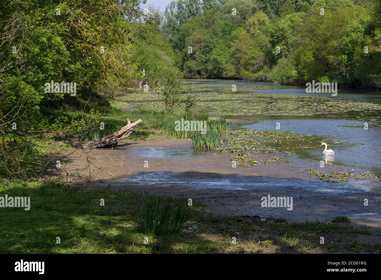 France, Indre et Loire, vallée de la Loire classée au patrimoine mondial par l'UNESCO, Vernou-sur-Brenne, les Madères, propriété de la famille Debré depuis 3 générations, Banque D'Images