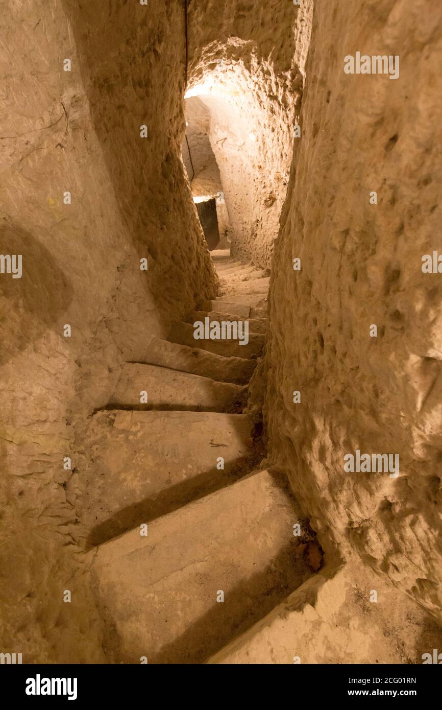 France, Indre et Loire, vallée de la Loire classée au patrimoine mondial par l'UNESCO, Vernou-sur-Brenne, les Madères, propriété de la famille Debré depuis 3 générations, Banque D'Images