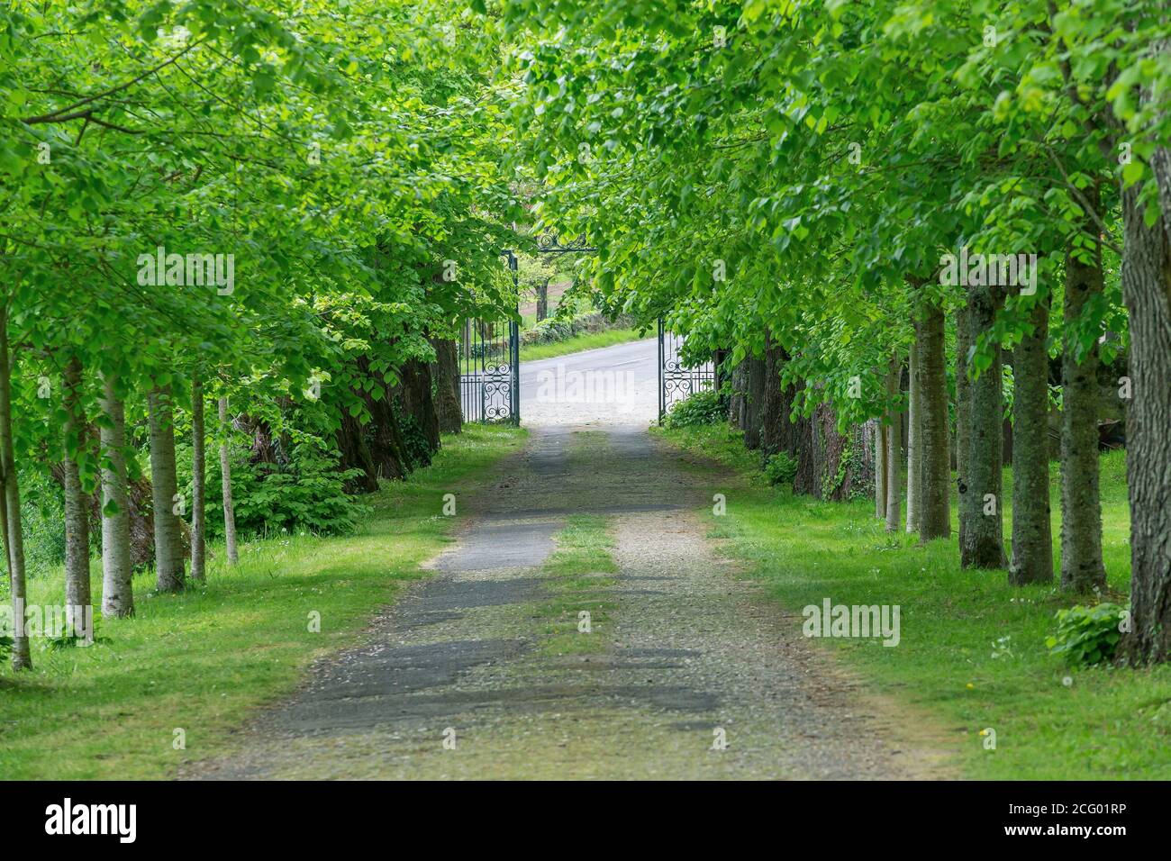 France, Indre et Loire, vallée de la Loire classée au patrimoine mondial par l'UNESCO, Vernou-sur-Brenne, les Madères, propriété de la famille Debré depuis 3 générations, Banque D'Images