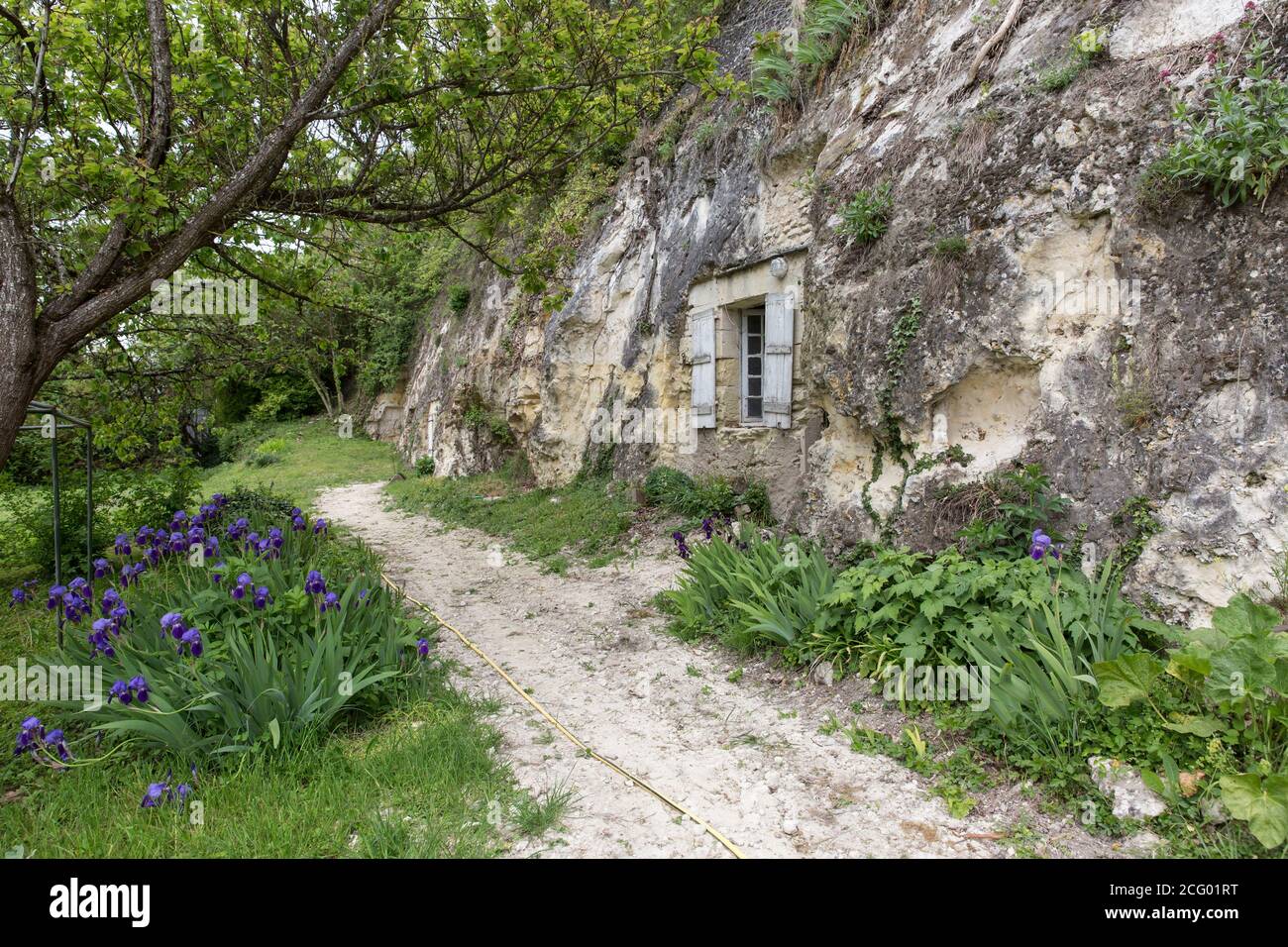 France, Indre et Loire, vallée de la Loire classée au patrimoine mondial par l'UNESCO, Vernou-sur-Brenne, les Madères, propriété de la famille Debré depuis 3 générations, Banque D'Images