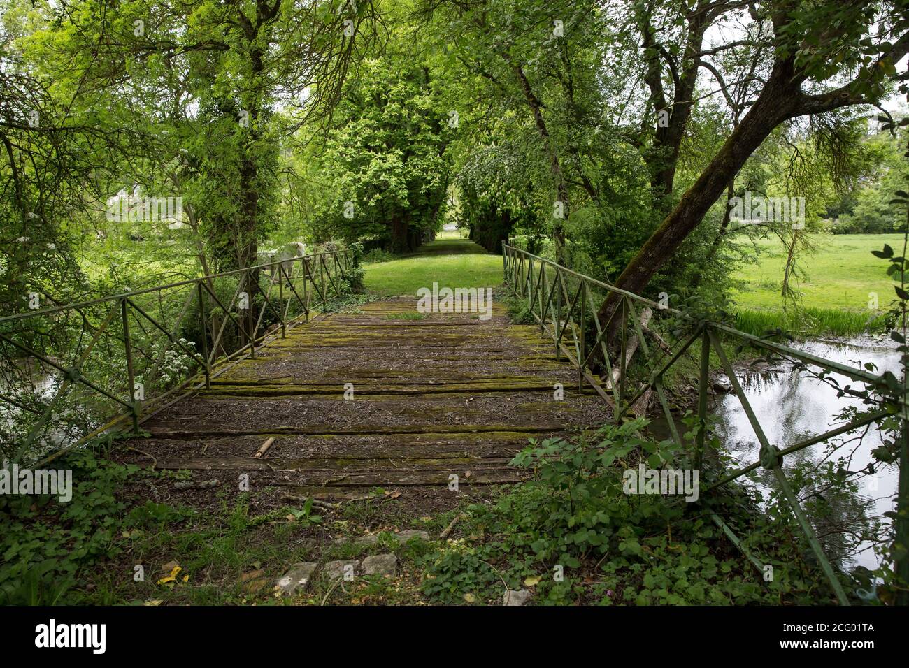 France, Indre et Loire, vallée de la Loire classée au patrimoine mondial par l'UNESCO, Vernou-sur-Brenne, les Madères, propriété de la famille Debré depuis 3 générations, Banque D'Images