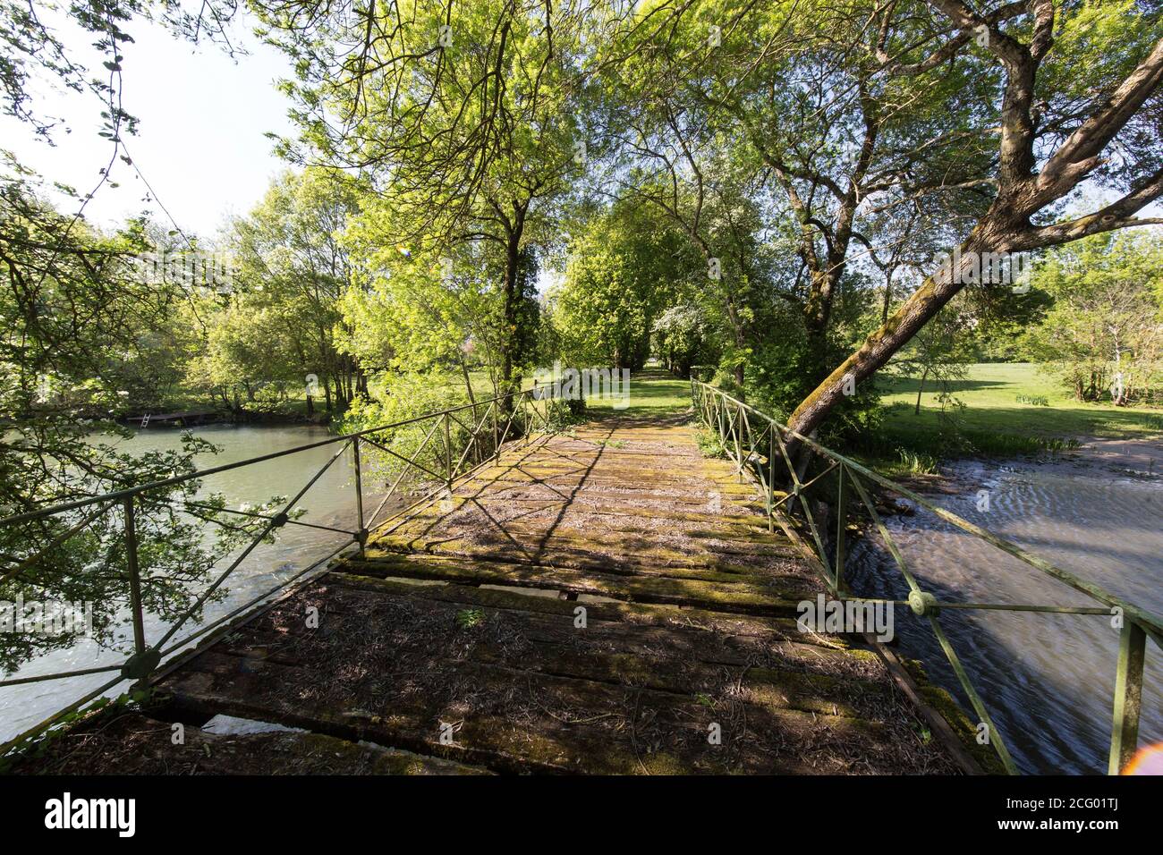 France, Indre et Loire, vallée de la Loire classée au patrimoine mondial par l'UNESCO, Vernou-sur-Brenne, les Madères, propriété de la famille Debré depuis 3 générations, Banque D'Images