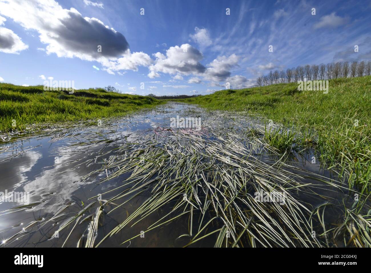 France, territoire de Belfort, Brebotte, la Bourbeuse, vallée de la plaine inondable Banque D'Images