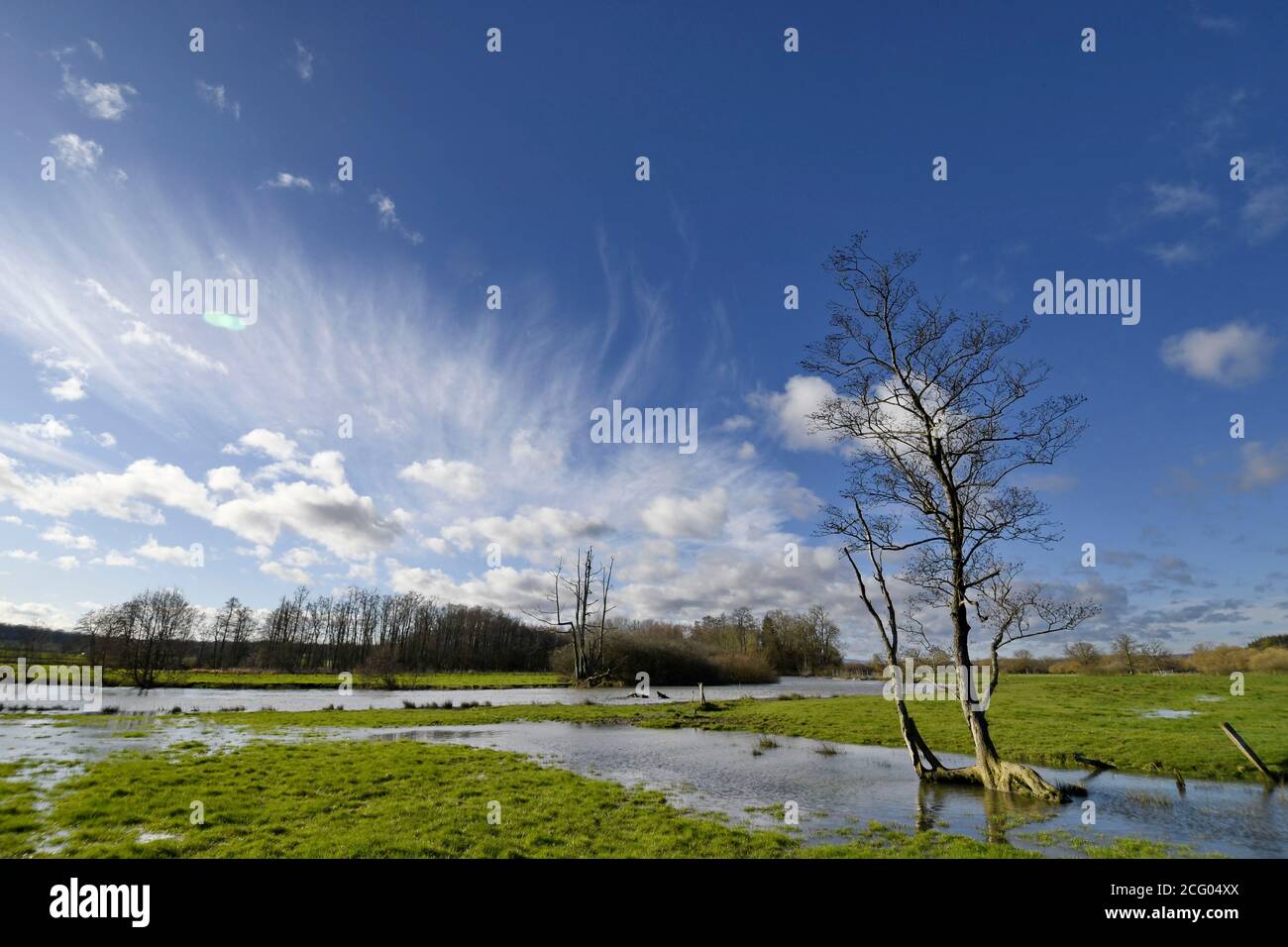 France, territoire de Belfort, Brebotte, la Bourbeuse, vallée inondable, inondation Banque D'Images