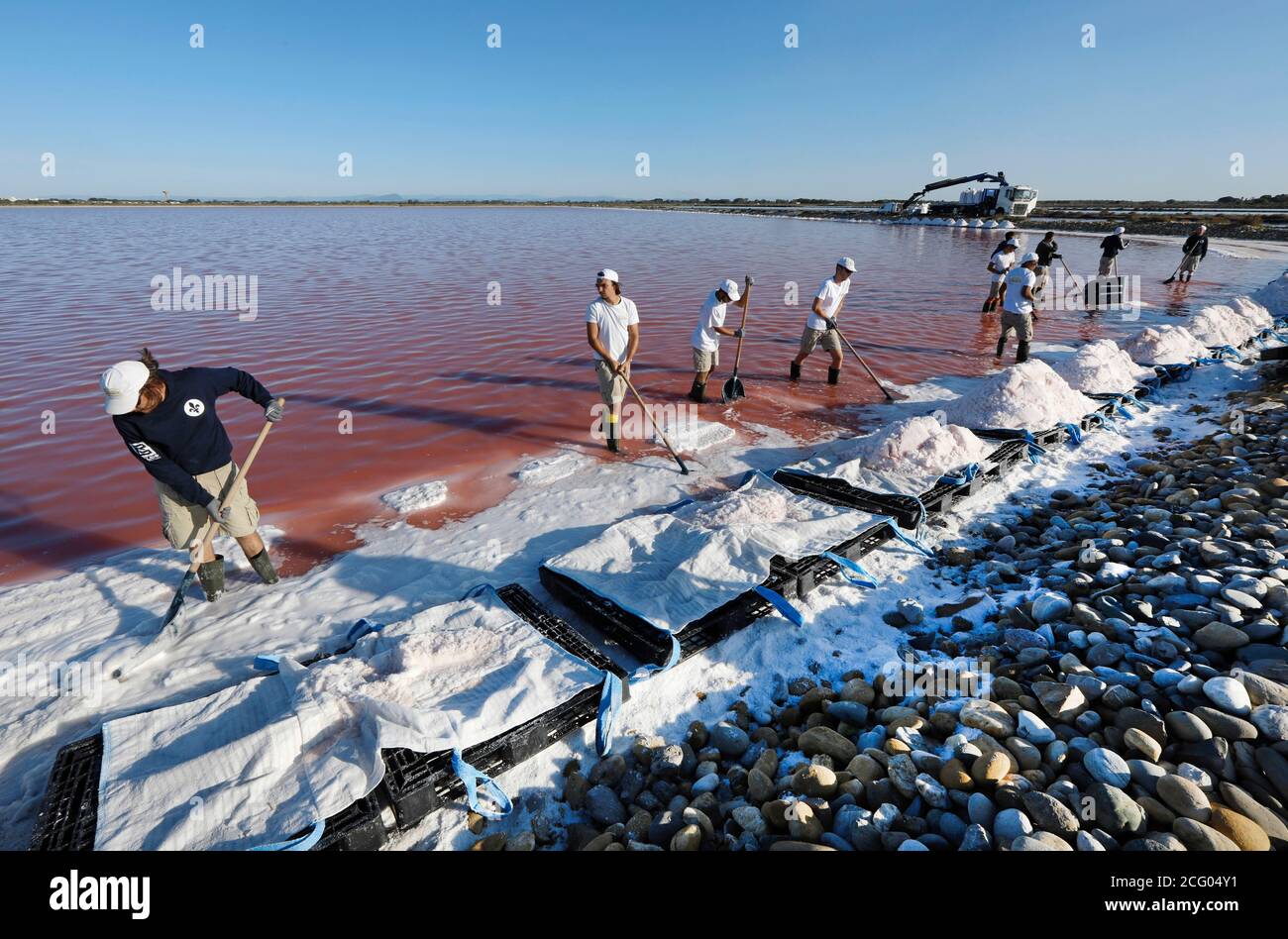 France, Gard, Aigues-mortes, les salins du midi, cueillette de la fleur de sel par les salins Banque D'Images