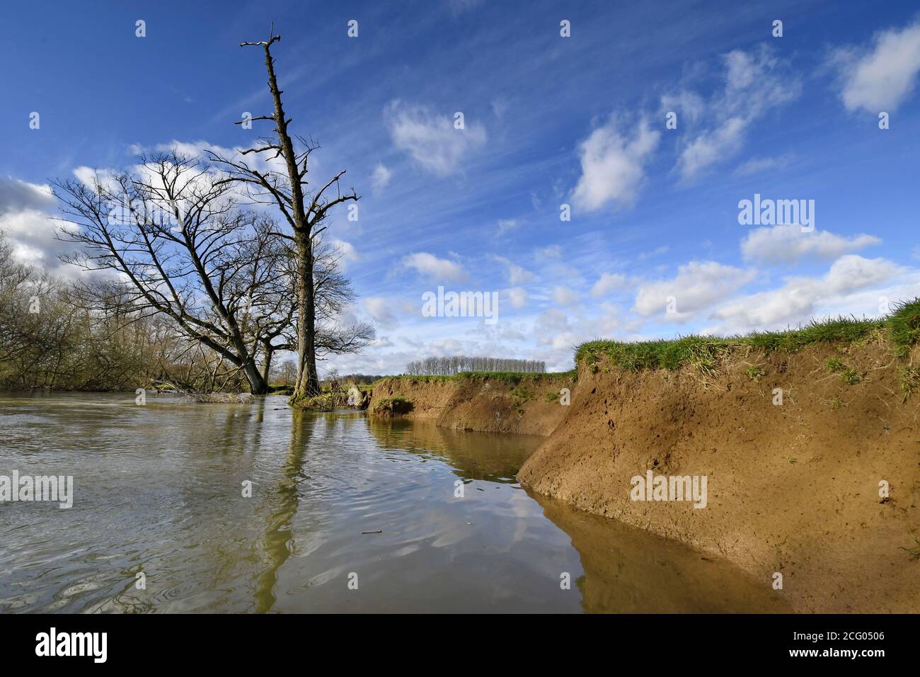 France, territoire de Belfort (90), Brebotte, la Bourbuse, vall?e inondable Banque D'Images