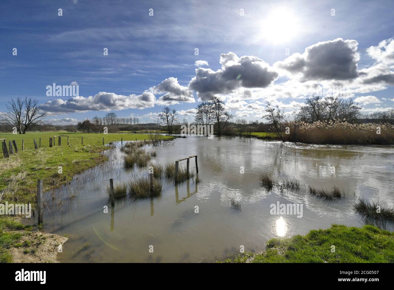 France, territoire de Belfort, Brebotte, la Bourbeuse, vallée inondable, inondation Banque D'Images