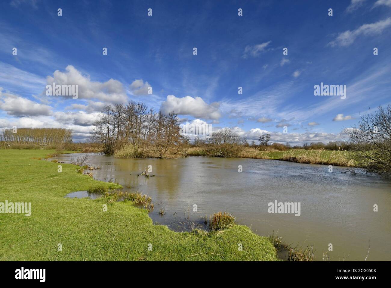 France, territoire de Belfort, Brebotte, la Bourbeuse, vallée inondable, inondation Banque D'Images