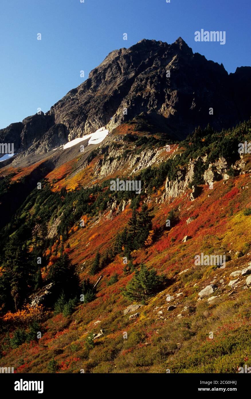 Vue depuis Cascade Pass, North Cascades National Park, Washington Banque D'Images
