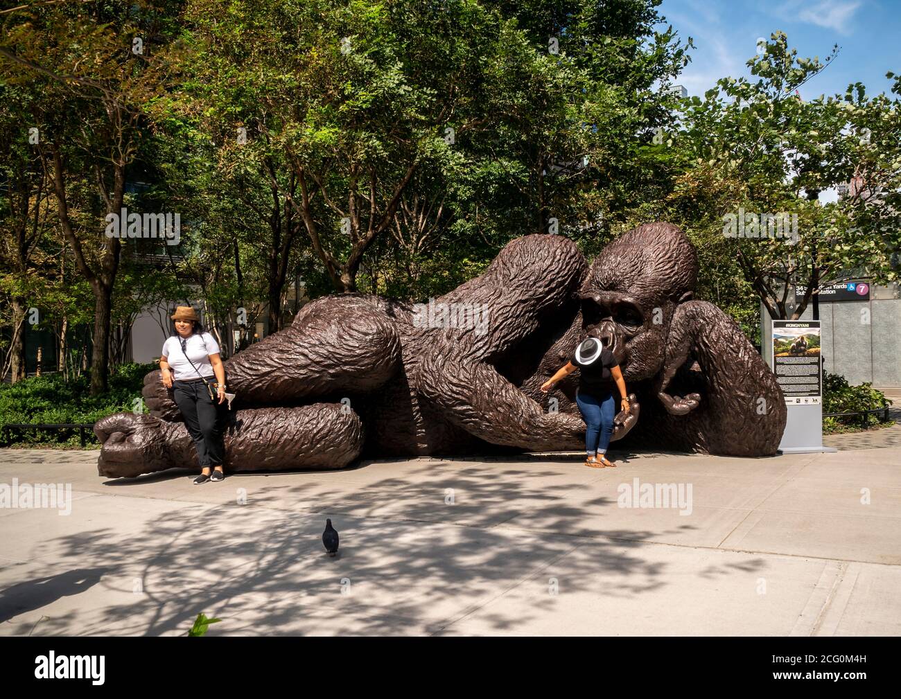 La sculpture de gorille géante en bronze intitulée "King Nyani" est vue dans le parc Bella Abzug à New York le mercredi 26 août 2020. L'œuvre des artistes Gillie et Marc Schattner attire l'attention sur le Silverback Gorilla, en voie de disparition, dont l'existence est menacée par le braconnage illégal et la déforestation. King Nyani est inspiré par le film King Kong et sa main est prolongée pour que les visiteurs puissent canaliser leur propre moment Fay Wray. (© Richard B. Levine) Banque D'Images