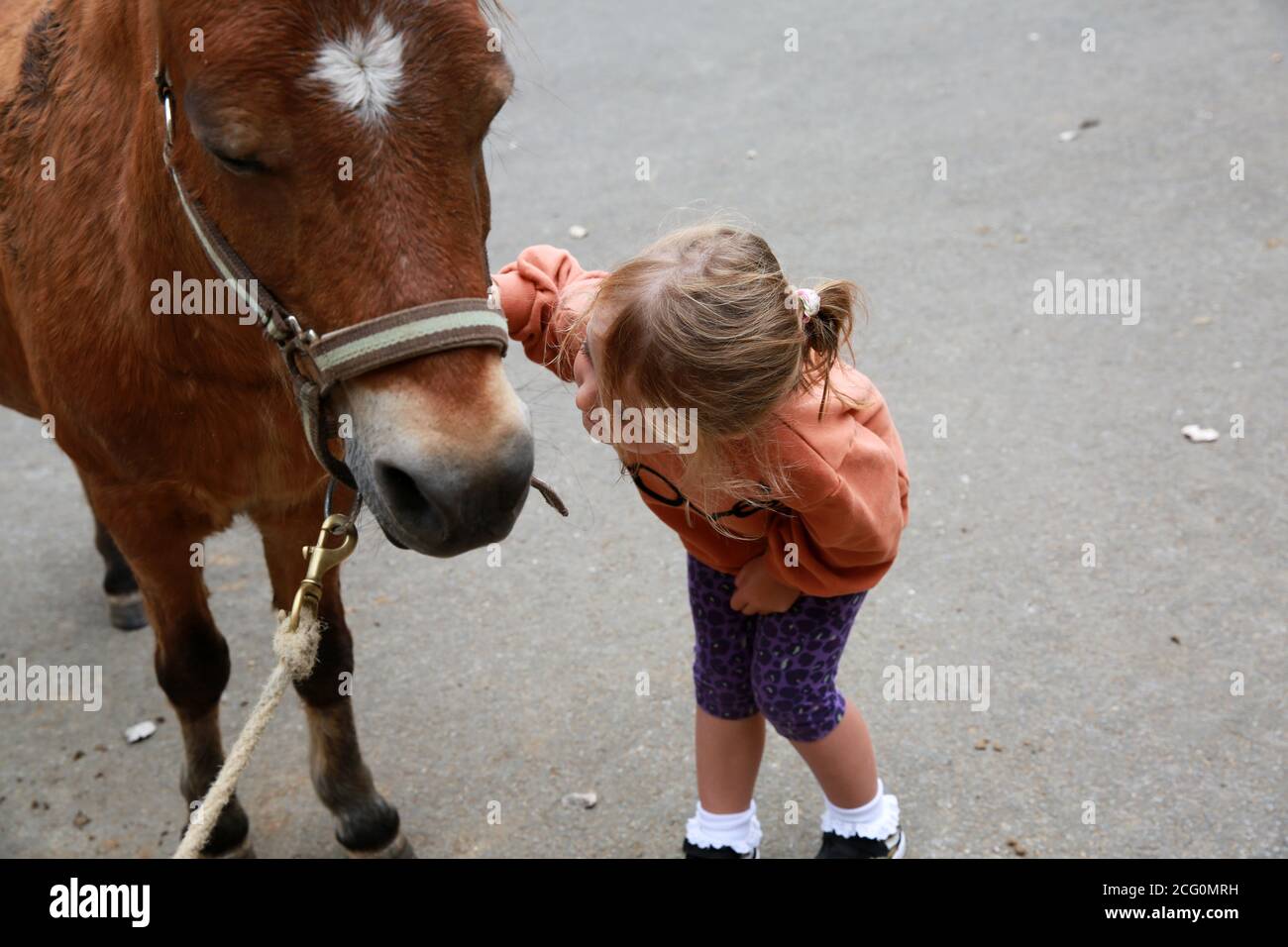 Petite fille poney à cheval dans une écurie, France Banque D'Images