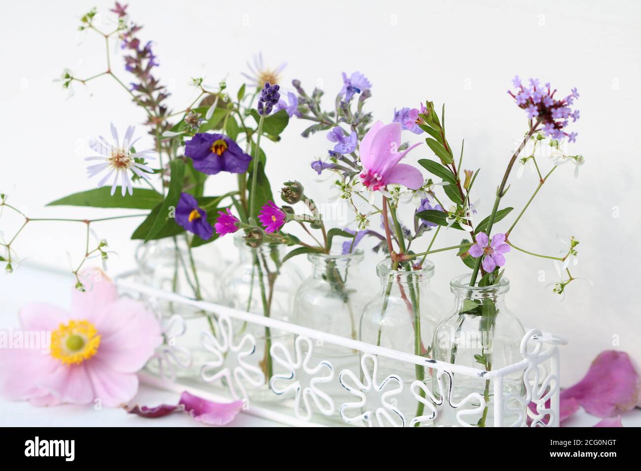 décoration romantique avec fleurs roses et violettes en bouteilles de verre Banque D'Images
