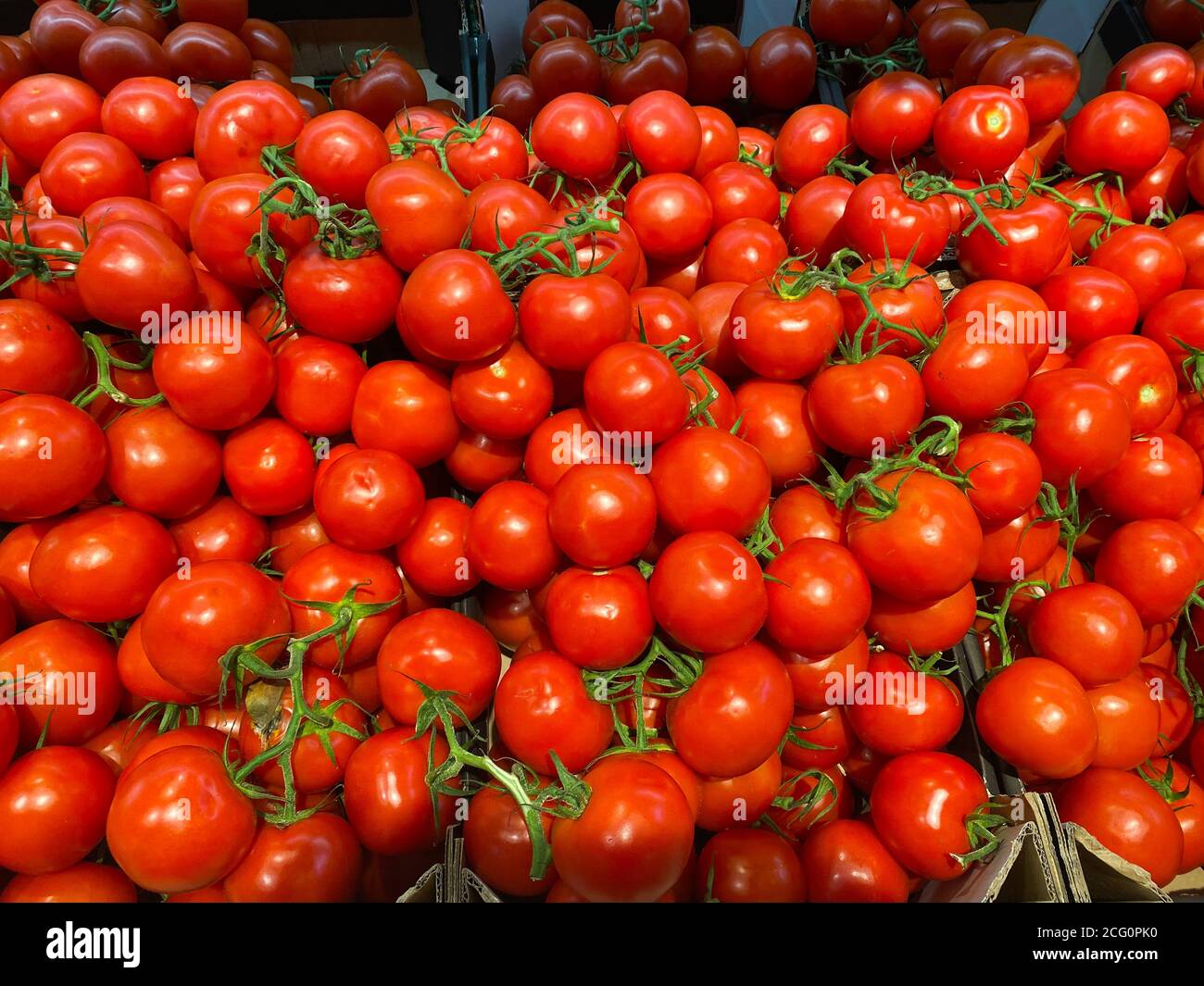 Vue sur une pile d'innombrables tomates cerises rouges mûres crues sur le marché allemand Banque D'Images