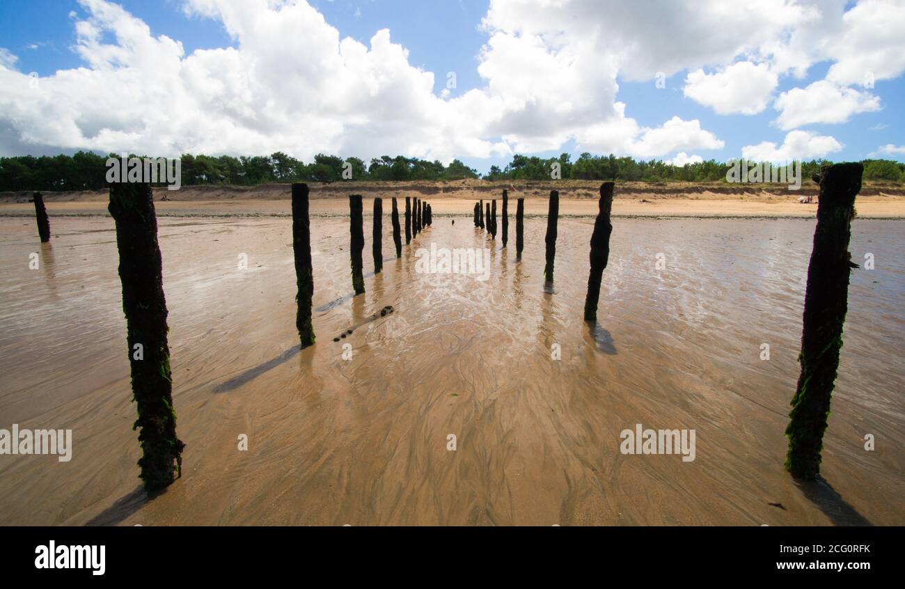 Panorama sur l'aquaculture des moules d'élevage à marée basse. Sable doré et plage. Banque D'Images