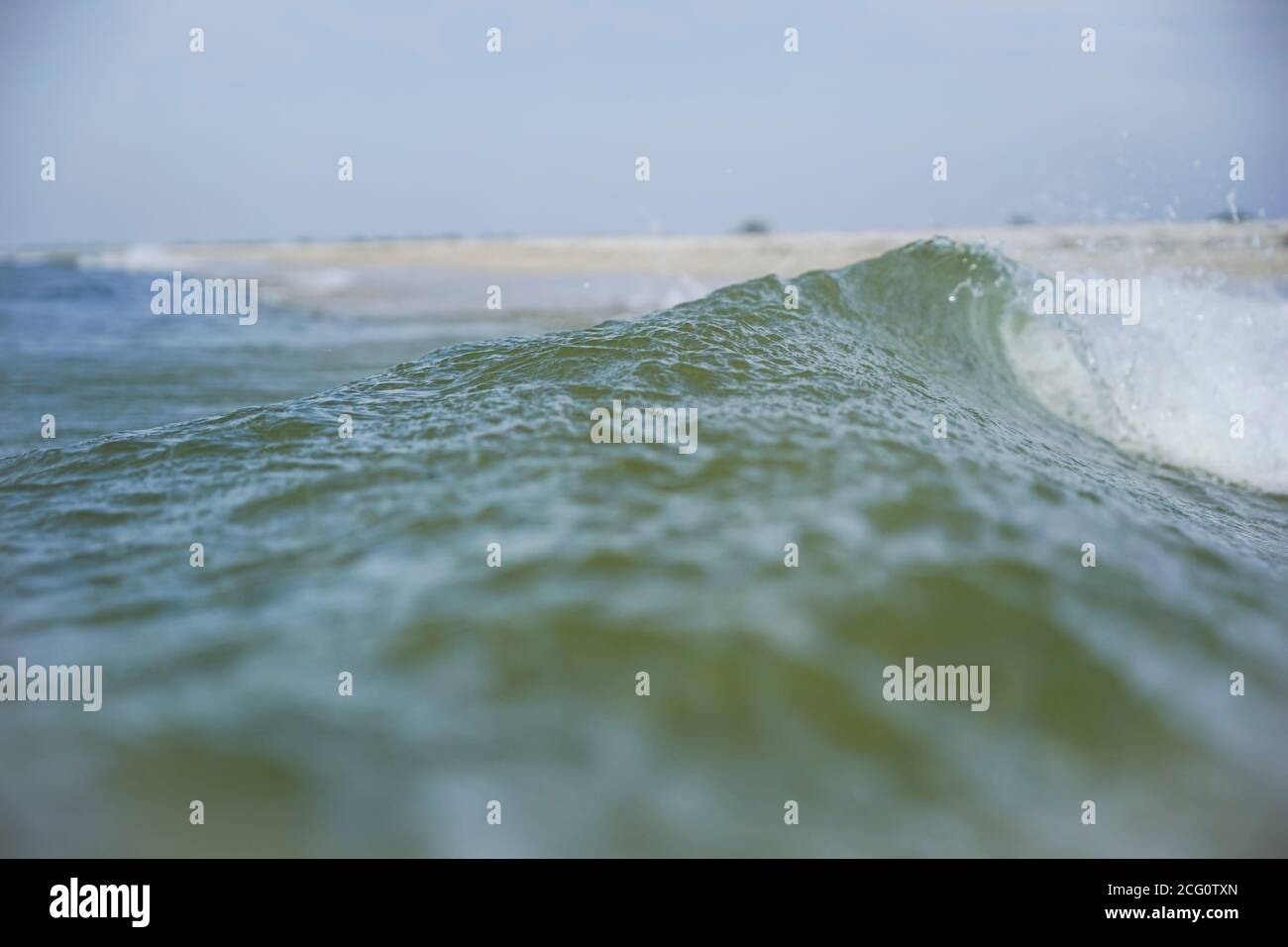 Une vague de mer azur avec un écusson blanc coule à terre. Banque D'Images