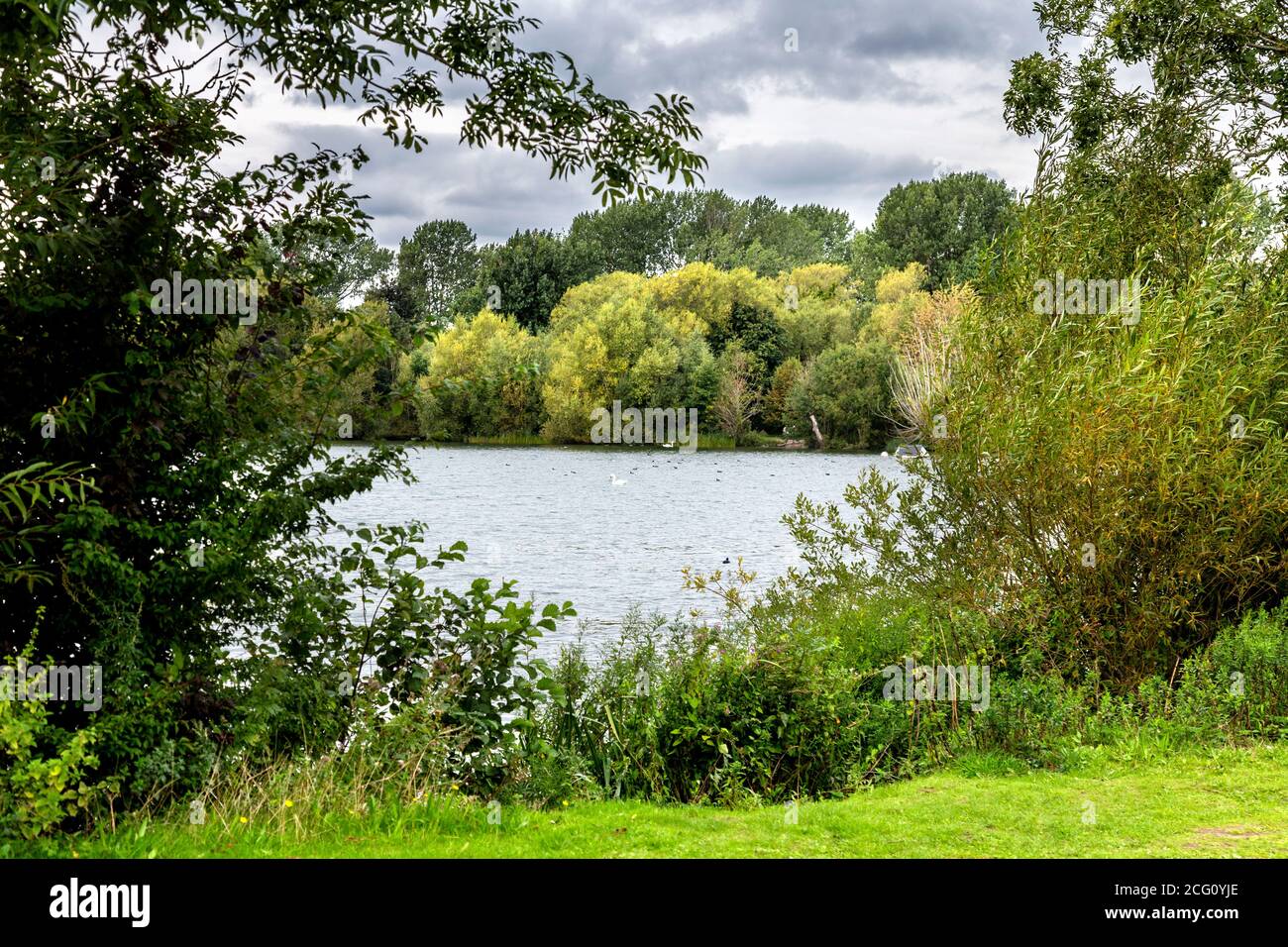 Bury Lake près de Rickmansworth, sur la route à vélo C61, Londres, Royaume-Uni Banque D'Images