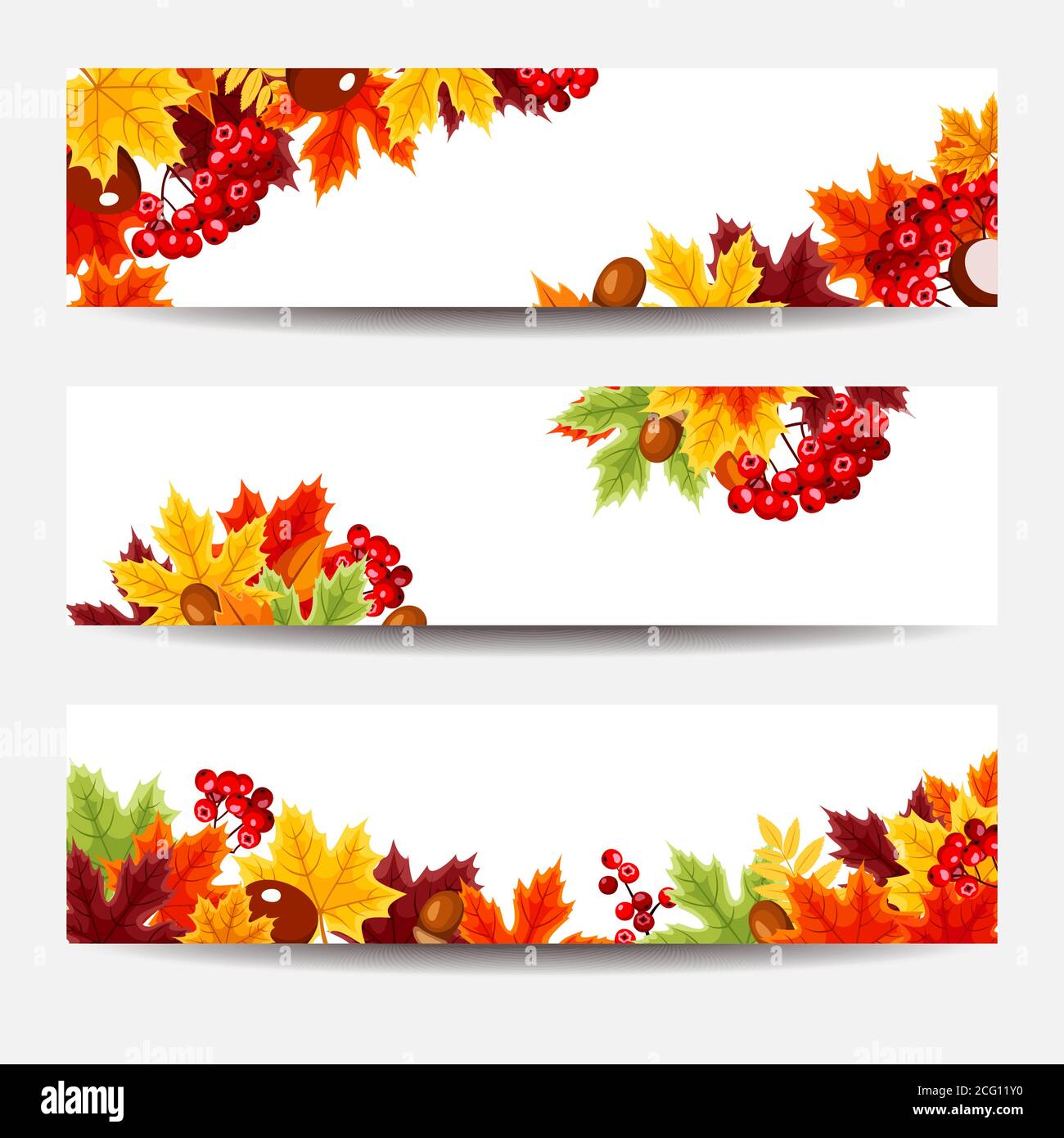 Ensemble de trois bannières web vecteur avec motif de feuilles d'automne. Illustration de Vecteur