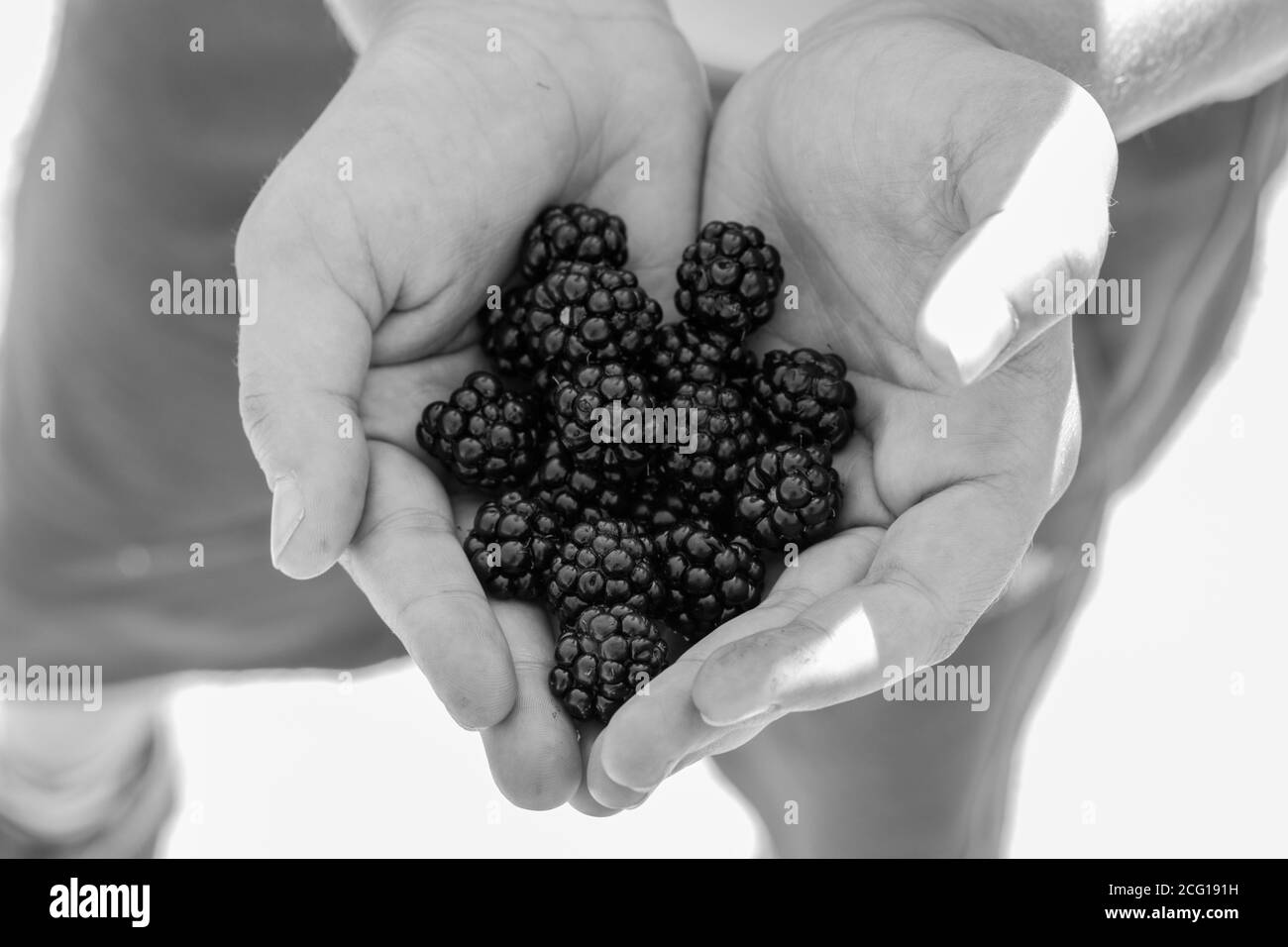 Les mains en forme de cœur avec des coeurs noirs Banque D'Images