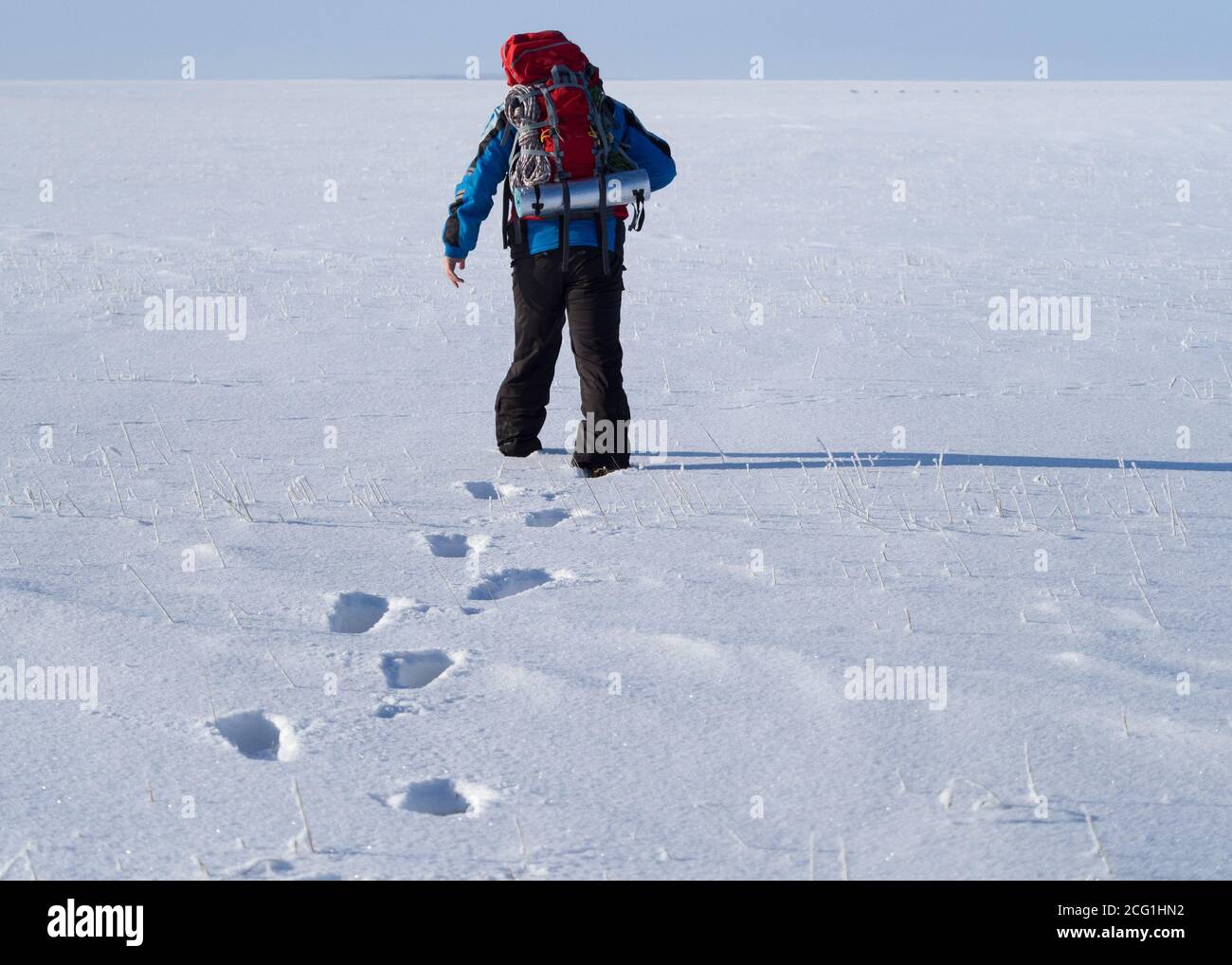 Promenade solitaire dans le désert de neige. Empreintes sur le terrain enneigé. Vue arrière. Banque D'Images
