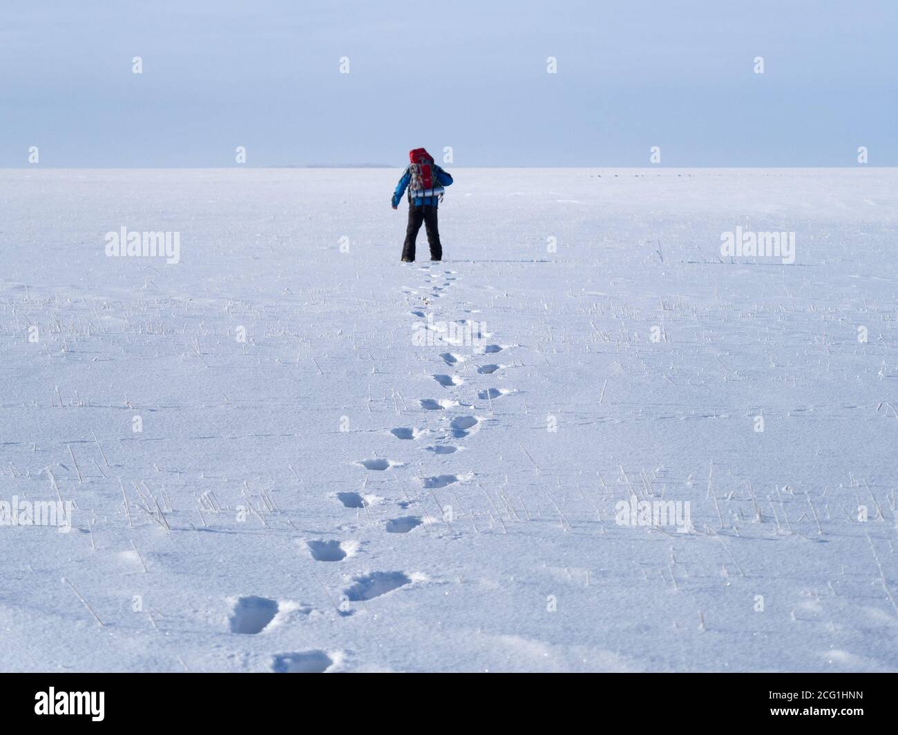 Promenade solitaire dans le désert de neige. Empreintes sur le terrain enneigé. Banque D'Images