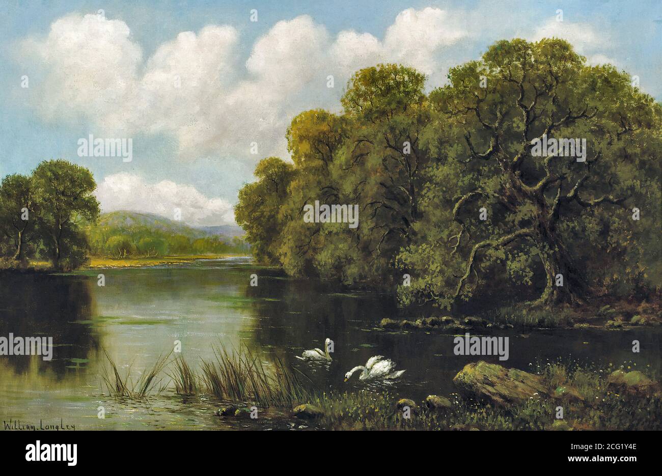 Langley William - Swans on the River - British School - 19e siècle Banque D'Images