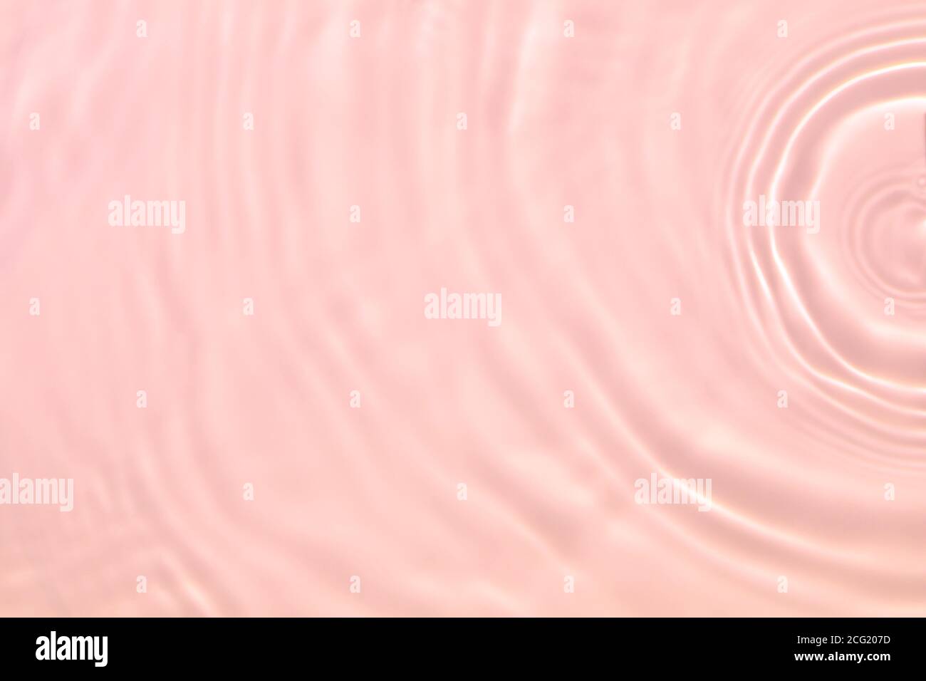 rose transparent eau transparente texture de surface été fond Banque D'Images