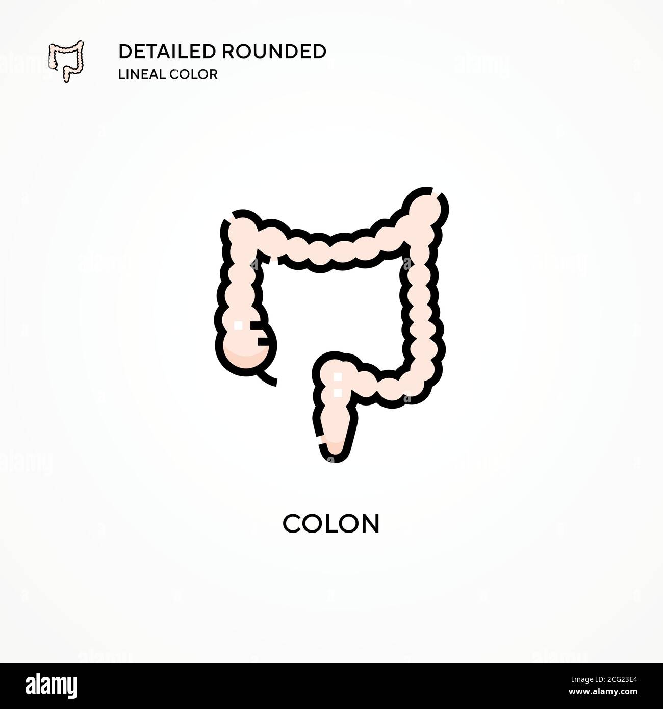 Icône de vecteur du côlon. Concepts modernes d'illustration vectorielle. Facile à modifier et à personnaliser. Illustration de Vecteur