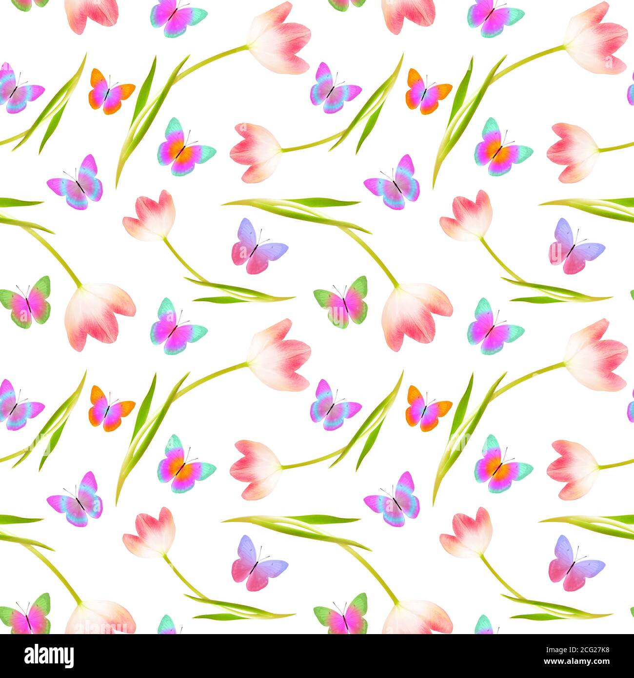 motif sans couture de tulipes avec papillons isolés sur blanc Banque D'Images