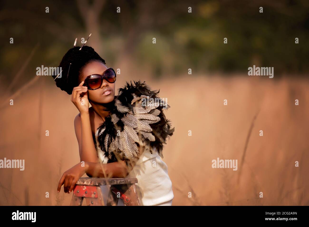 modèle réussi de femme noire en safari africain avec des lunettes de soleil Banque D'Images